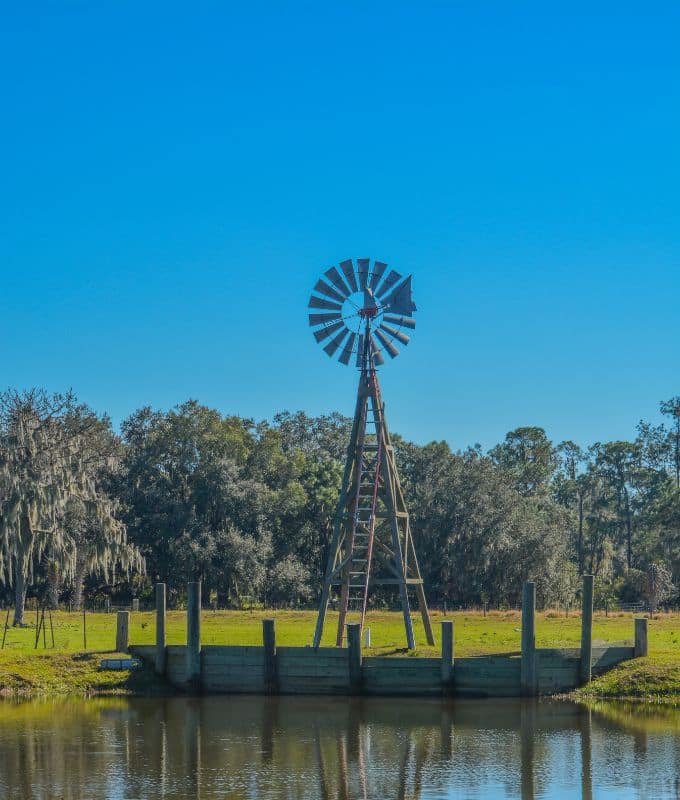 A vintage windmill stands by a tranquil pond, surrounded by lush greenery and a clear blue sky.