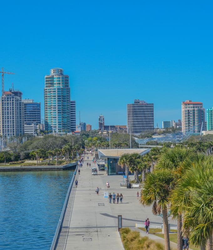 Downtown St. Petersburg, Florida, featuring a waterfront pier, lush palm trees, and modern high-rise buildings under a clear blue sky.